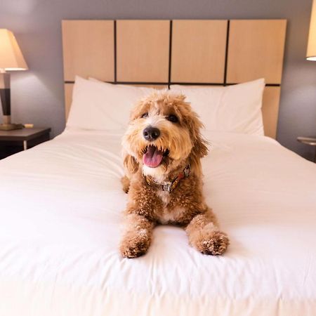 Sonesta Simply Suites Columbus Airport Gahanna Esterno foto