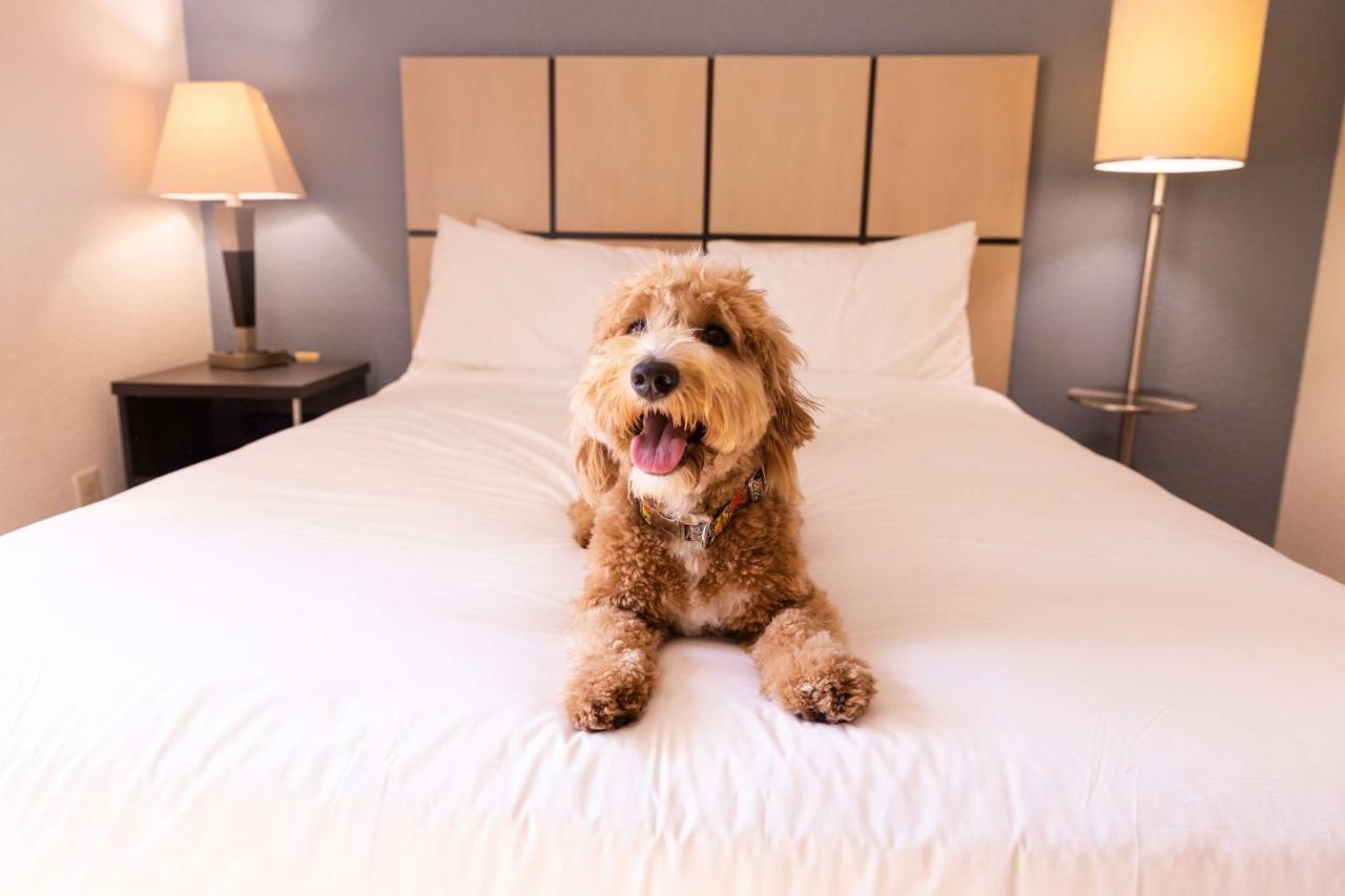 Sonesta Simply Suites Columbus Airport Gahanna Esterno foto